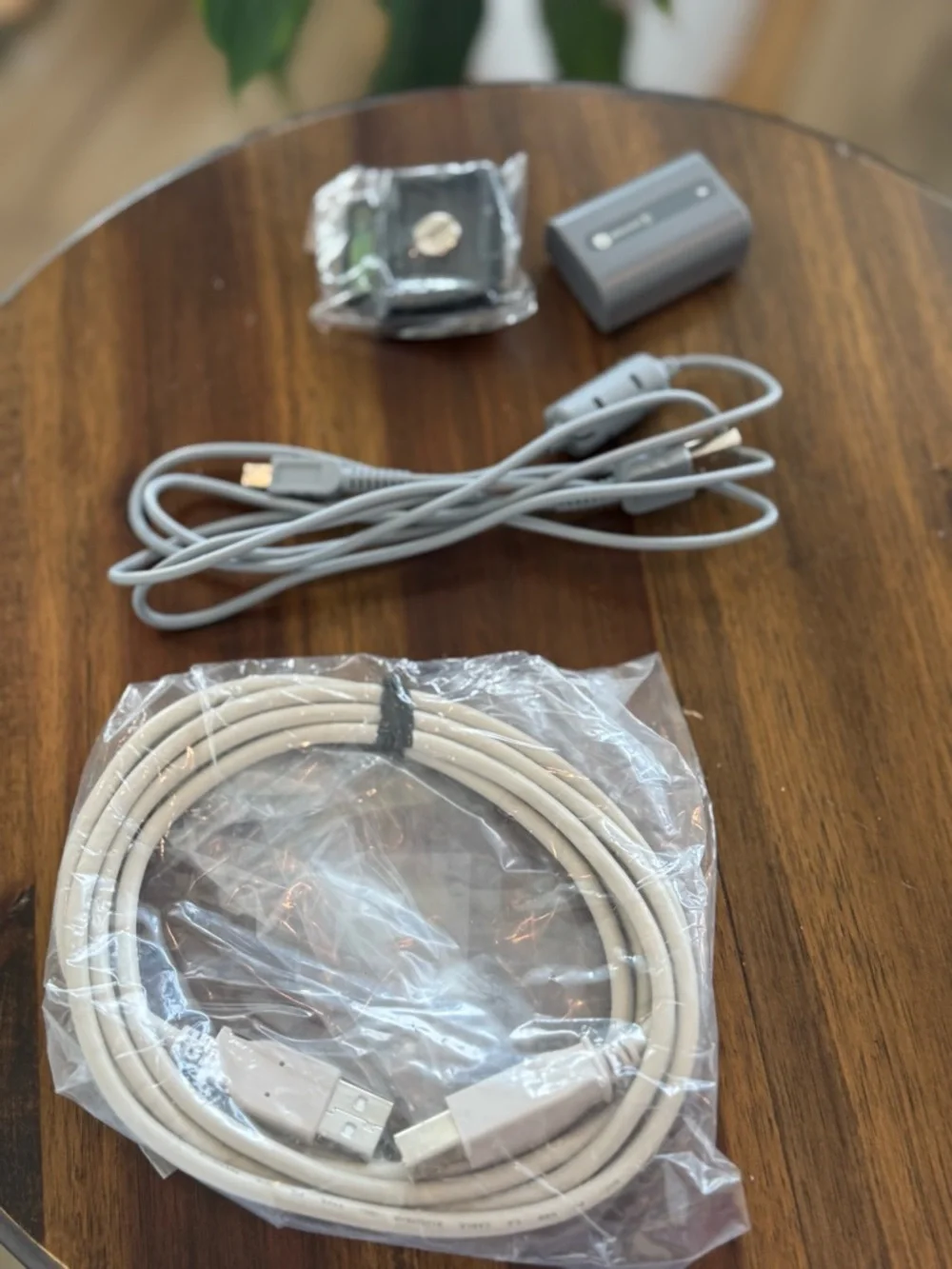 Sony Handheld Digital Camcorder in Silver and Black